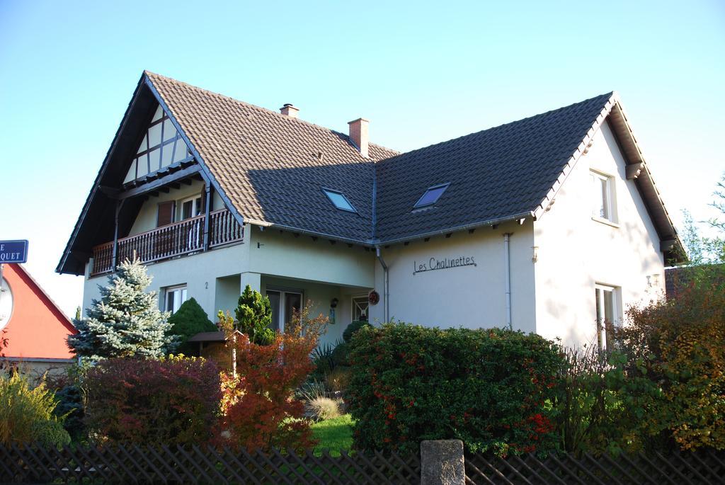 Chambres D'Hotes Les Chalinettes Fegersheim Экстерьер фото