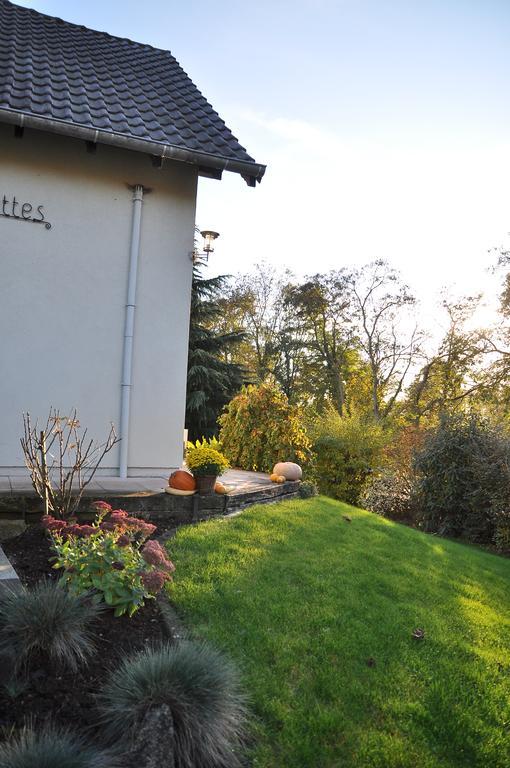 Chambres D'Hotes Les Chalinettes Fegersheim Экстерьер фото